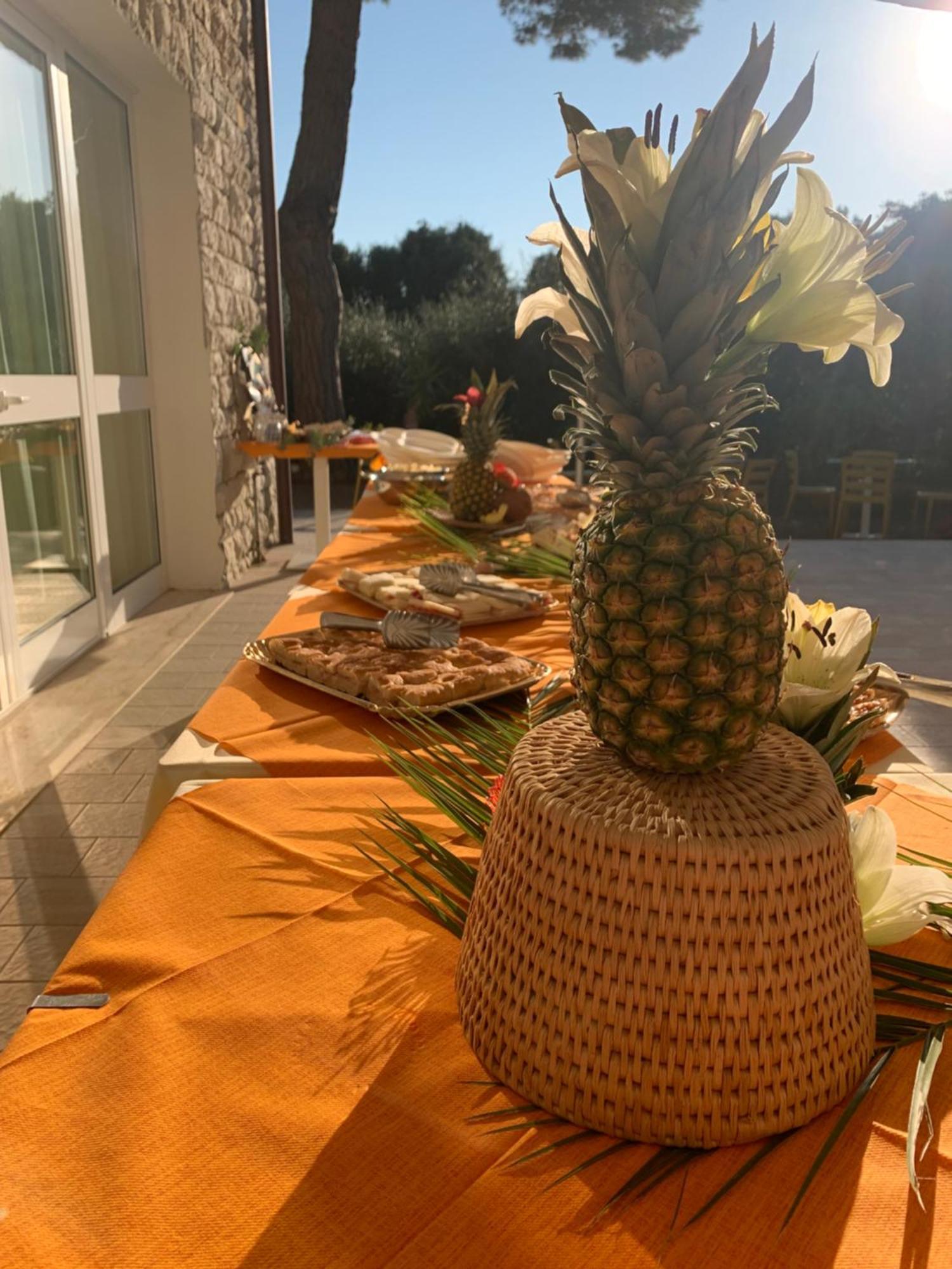 Hotel San Giuseppe Casa Per Ferie Quercianella Zewnętrze zdjęcie